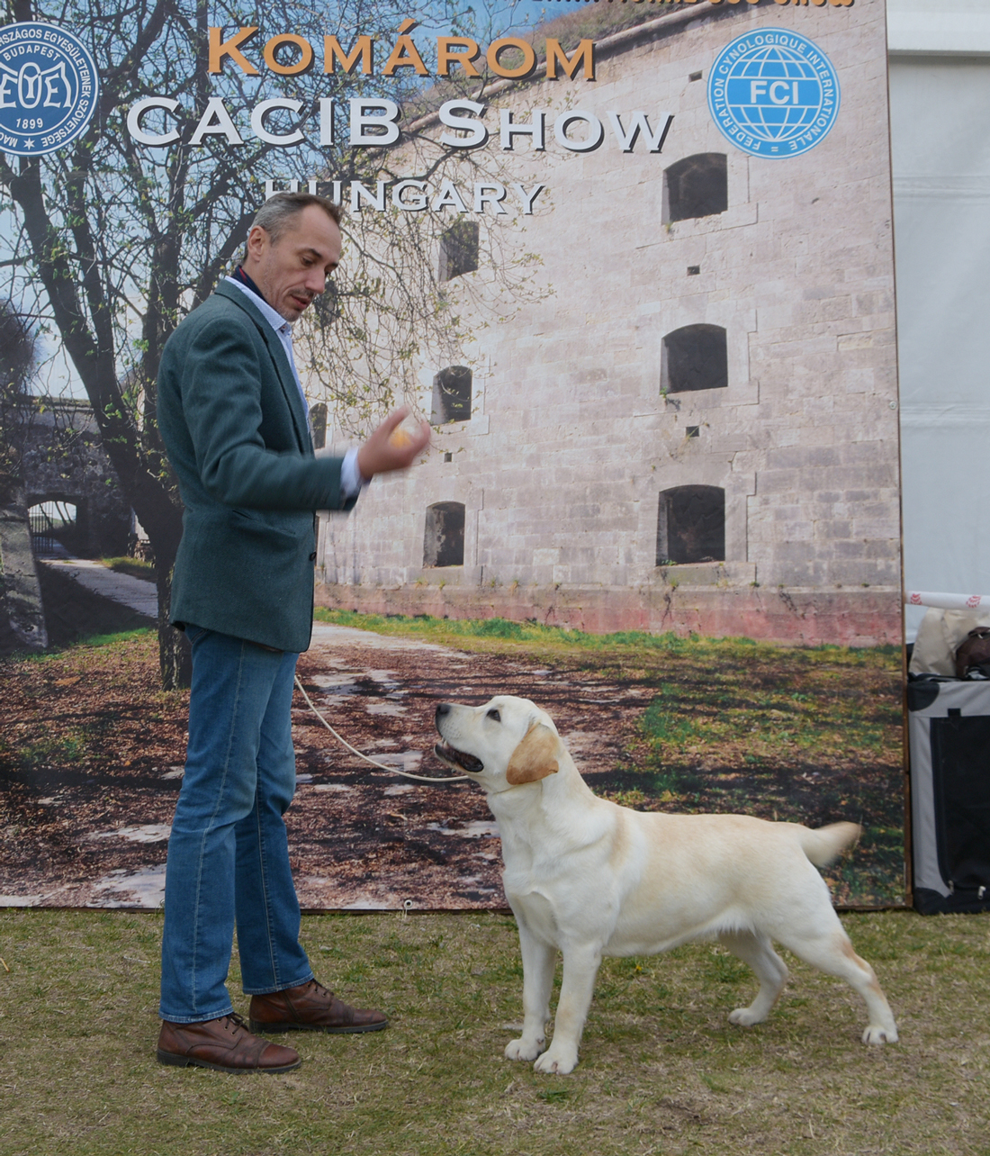 Tara – CH LEGENDARY SPOTS FEARLESS FOR CLEAR PASSION