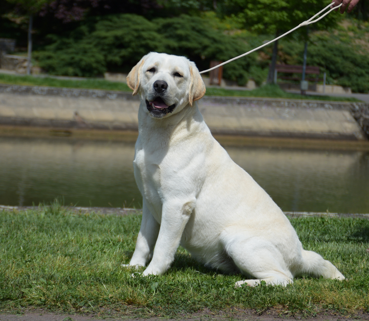 Cola – CH LEGENDARY SPOTS FALL IN LOVE OF CLEAR PASSION