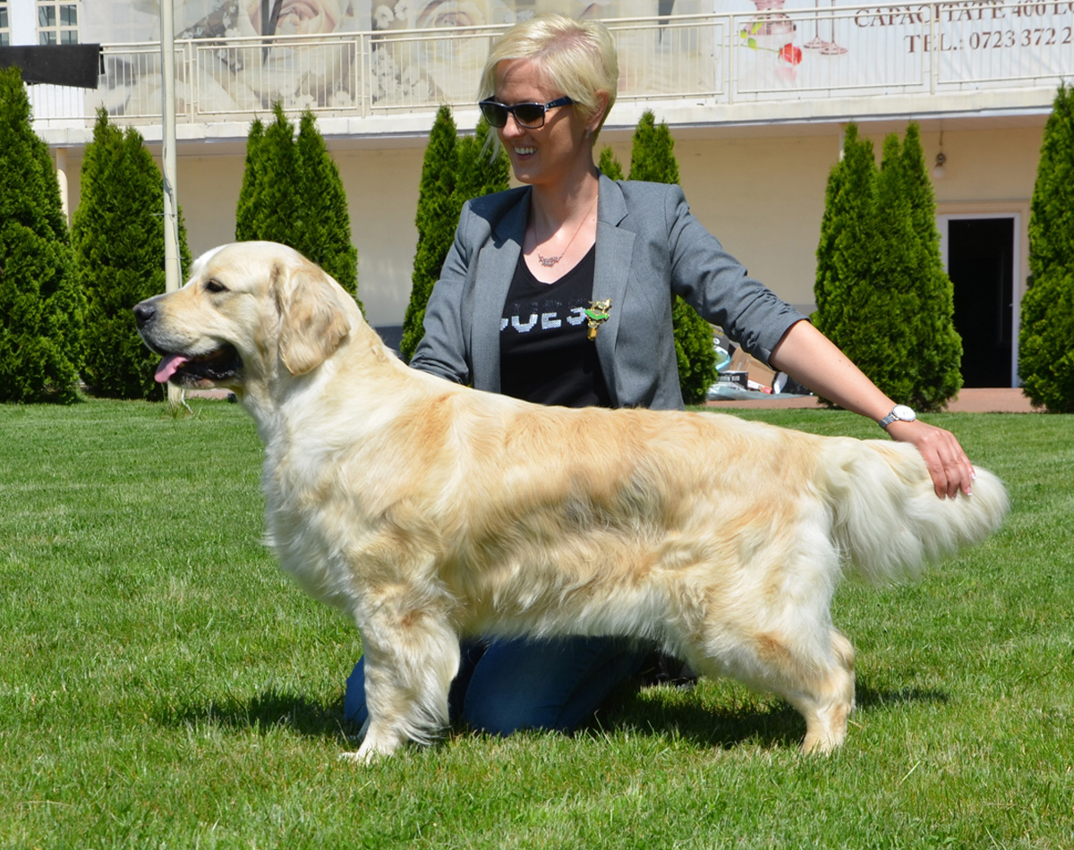 Sasha – SIMPLY IRRESISTIBLE OF CLEAR PASSION