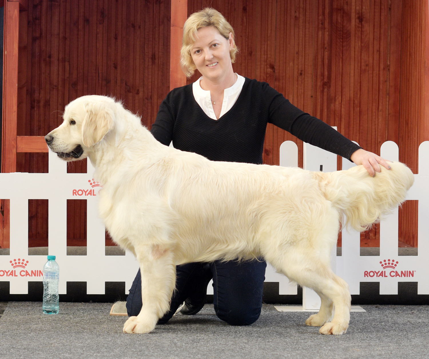 Ace – JCH Ace din Clear Passion