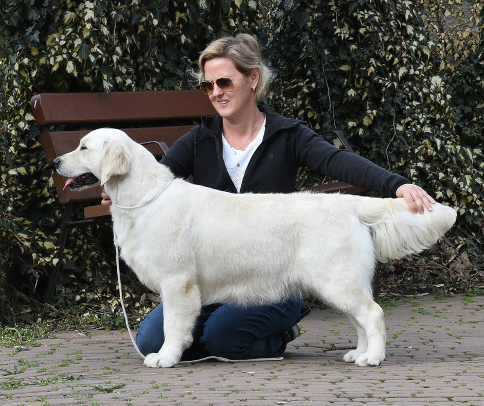 Hannah – JCH Flying High of Clear Passion