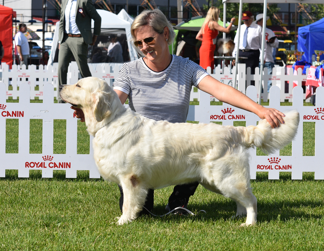 Vicky – Golden Romance Velaria