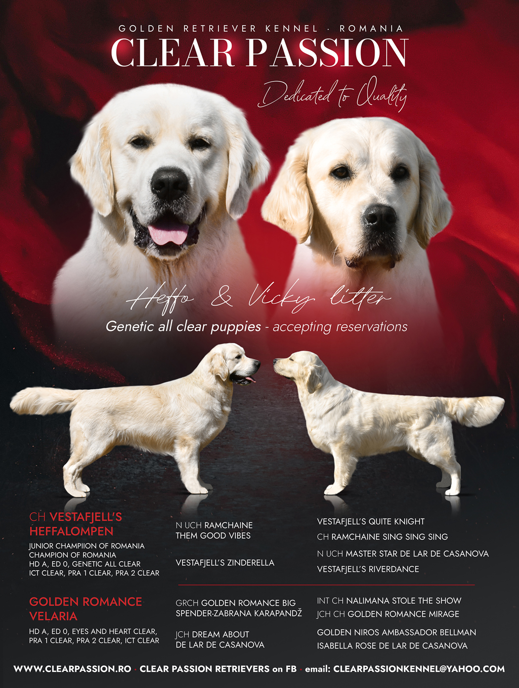 GENETIC ALL CLEAR PUPPIES