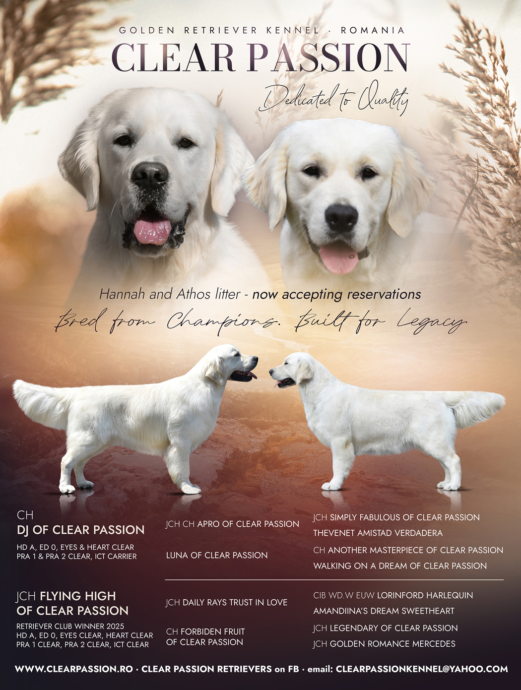 top puppies – reservation list open