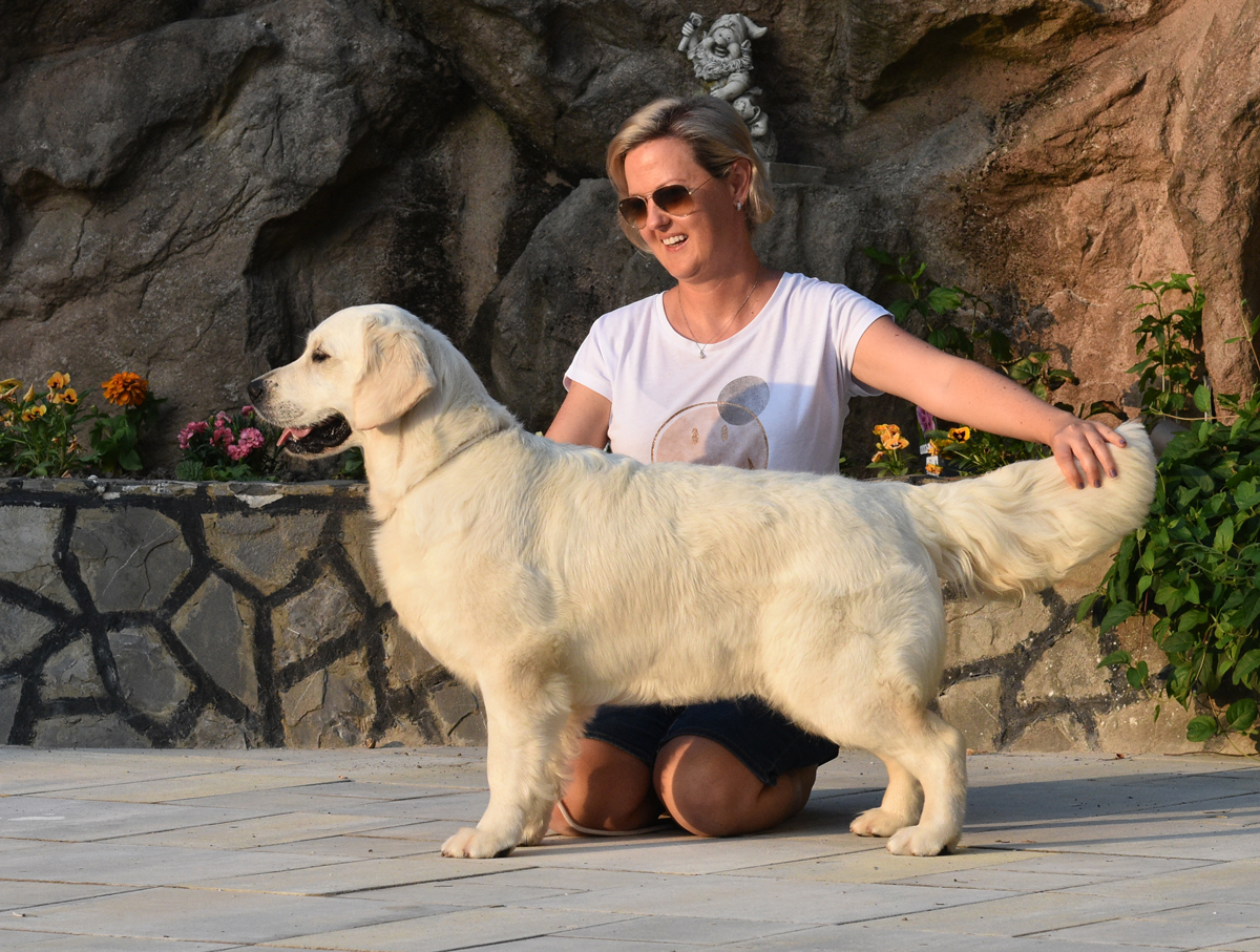 Cora – CH Cora of Clear Passion