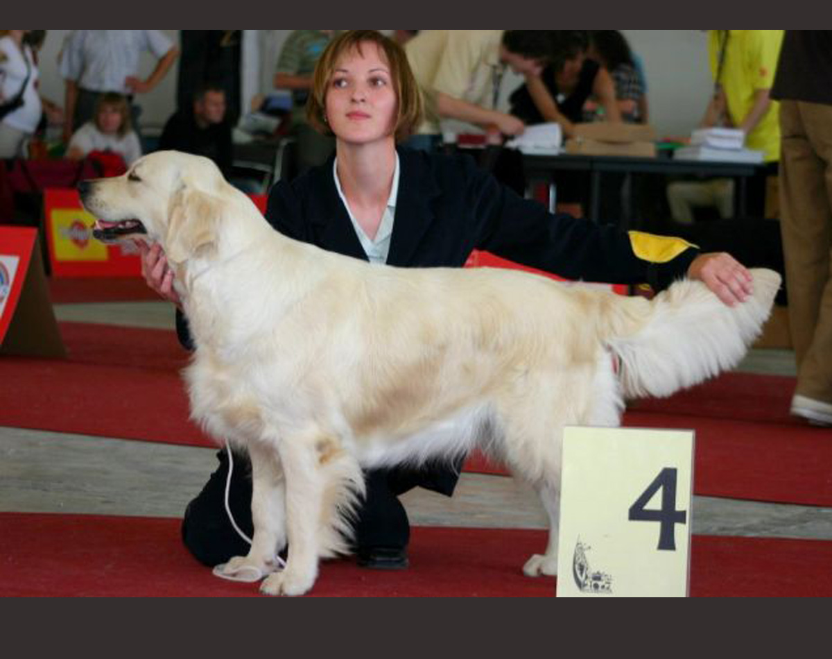 Foundation of Clear Passion Kennel