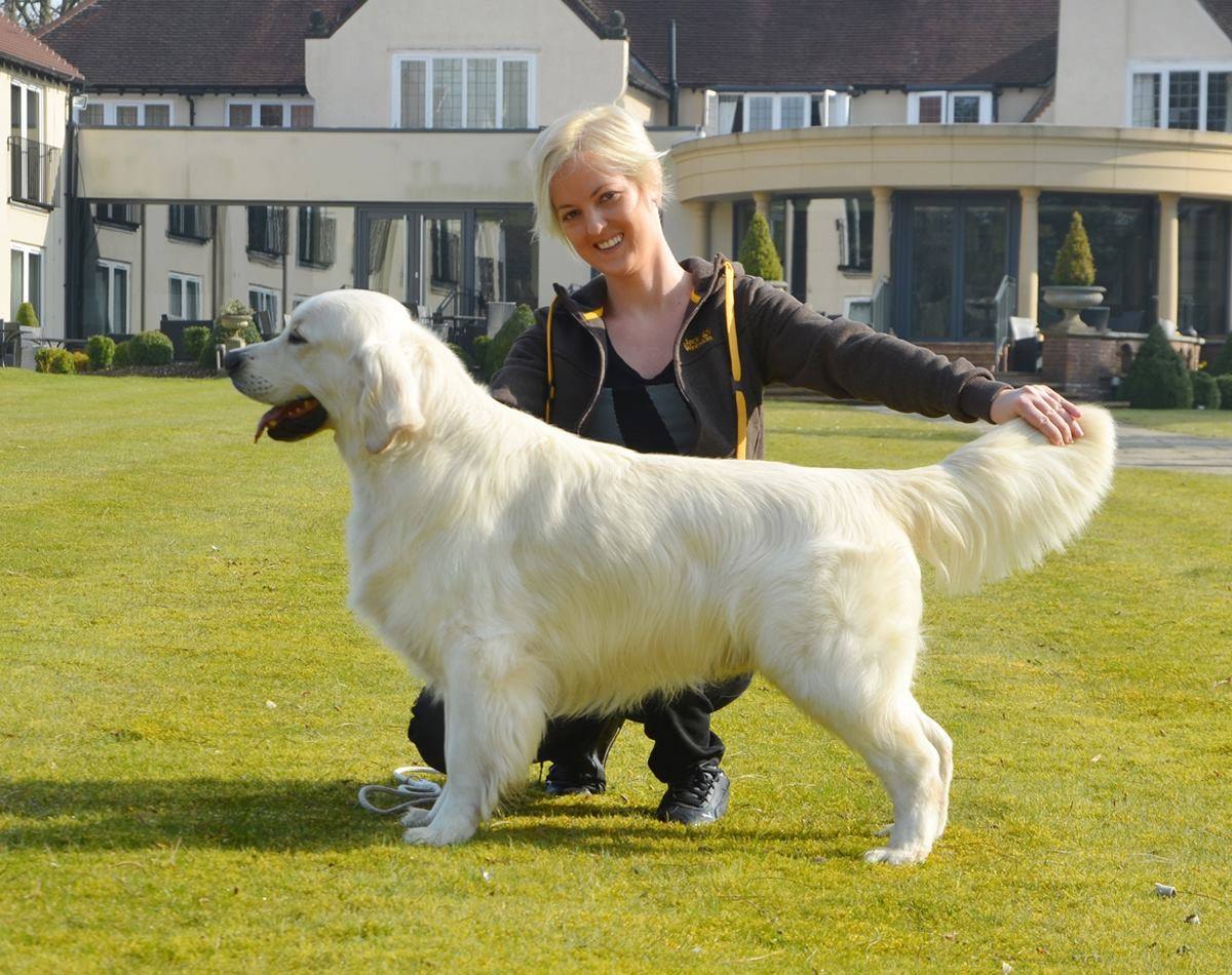 Dutch imports in 2014