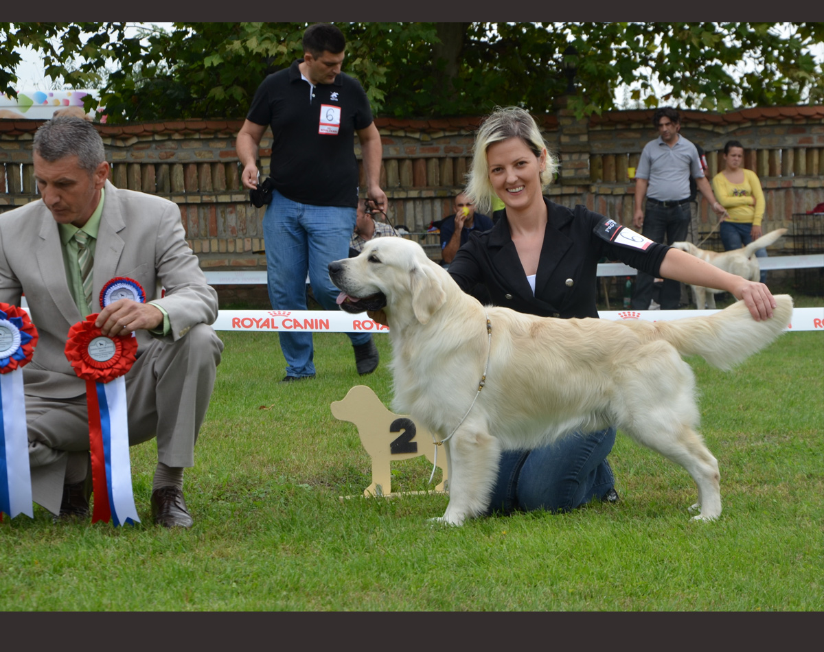 2013 Spanish imports