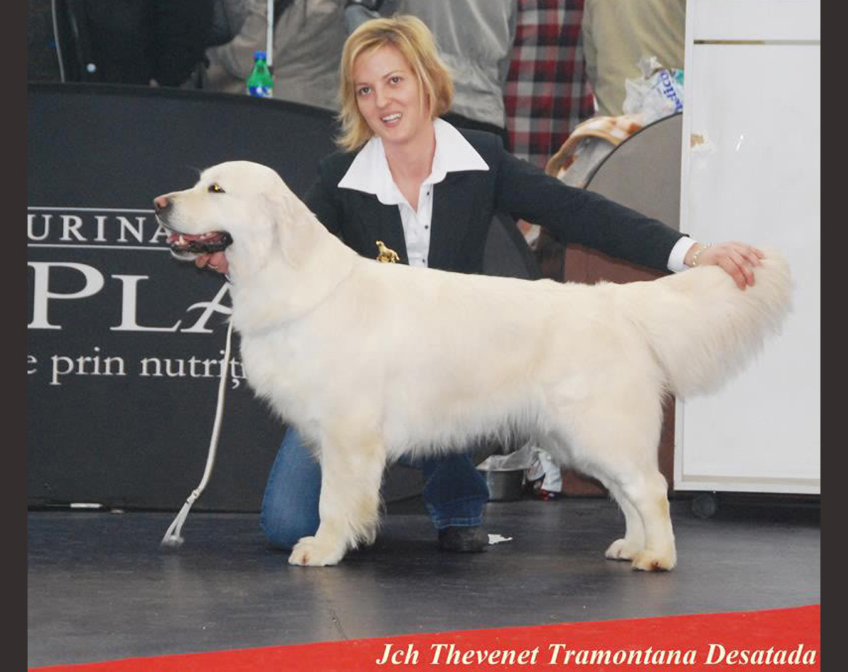 The Spanish Foundation Females