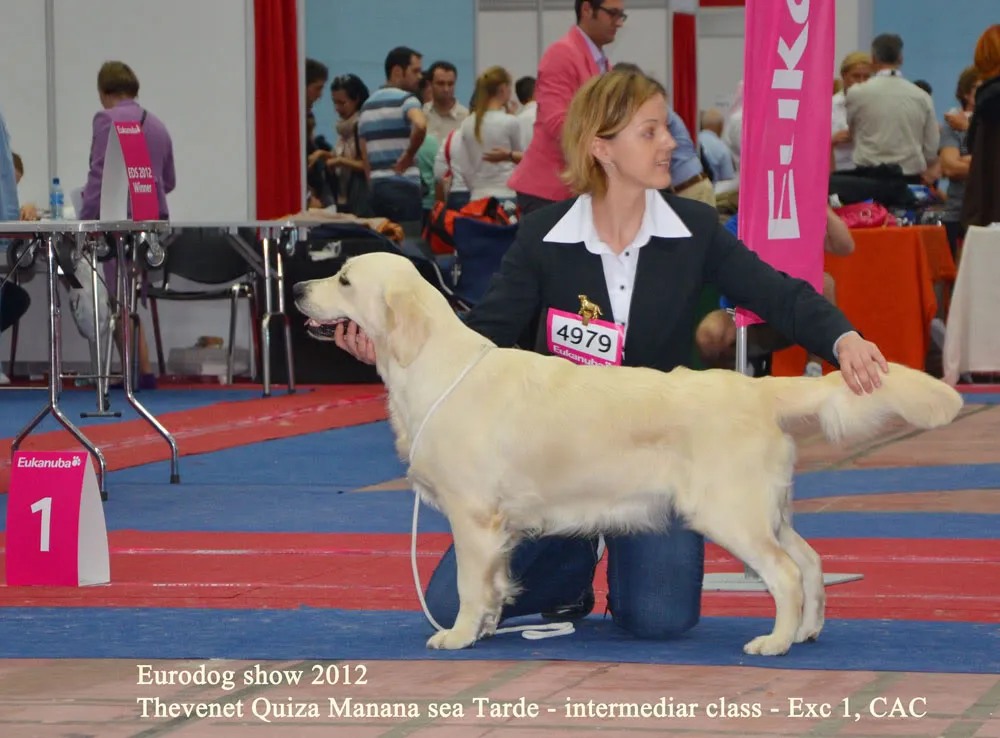 2009-2012 imports and homebred champions in European Dog Show 2012