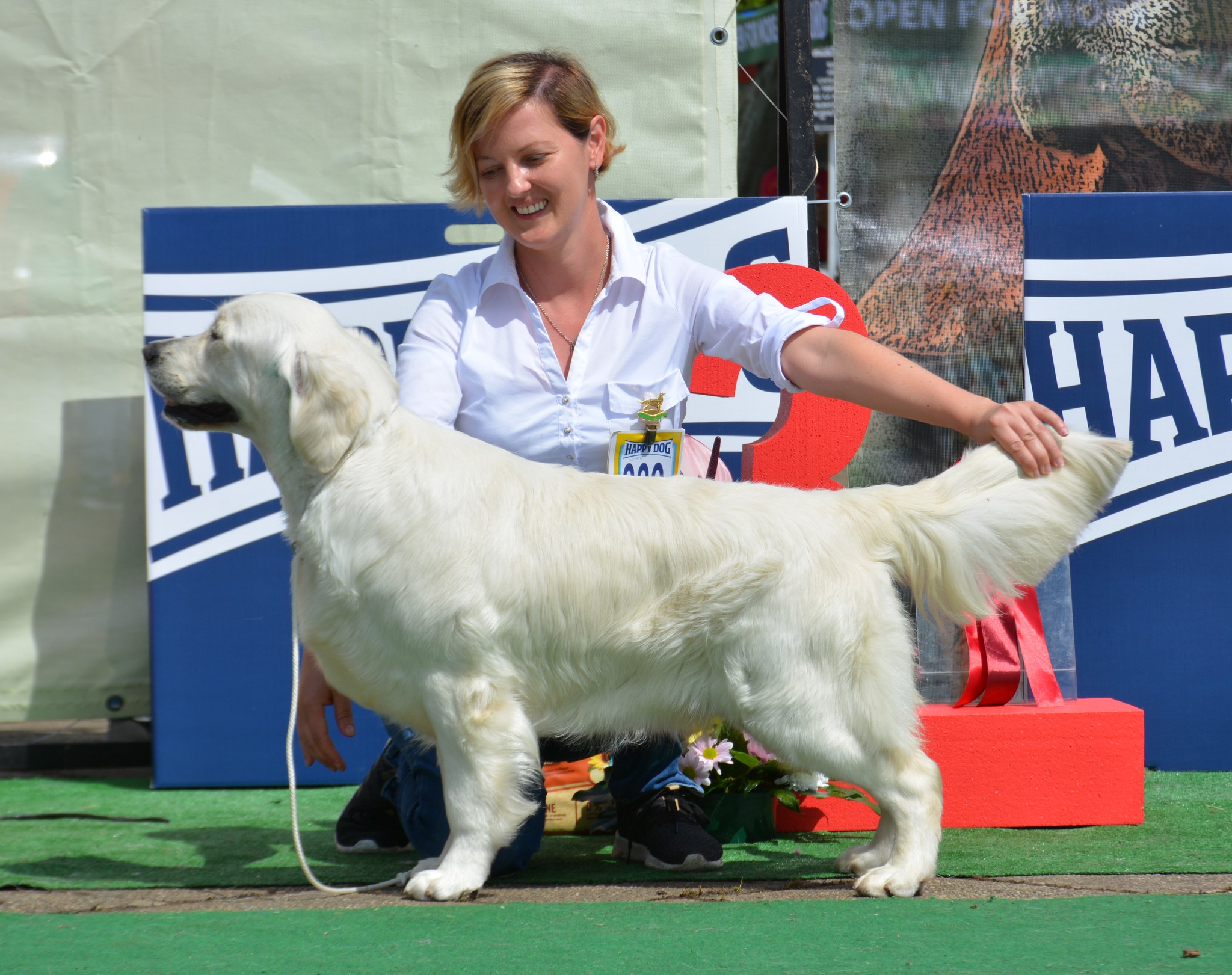 litters between 2012-2017