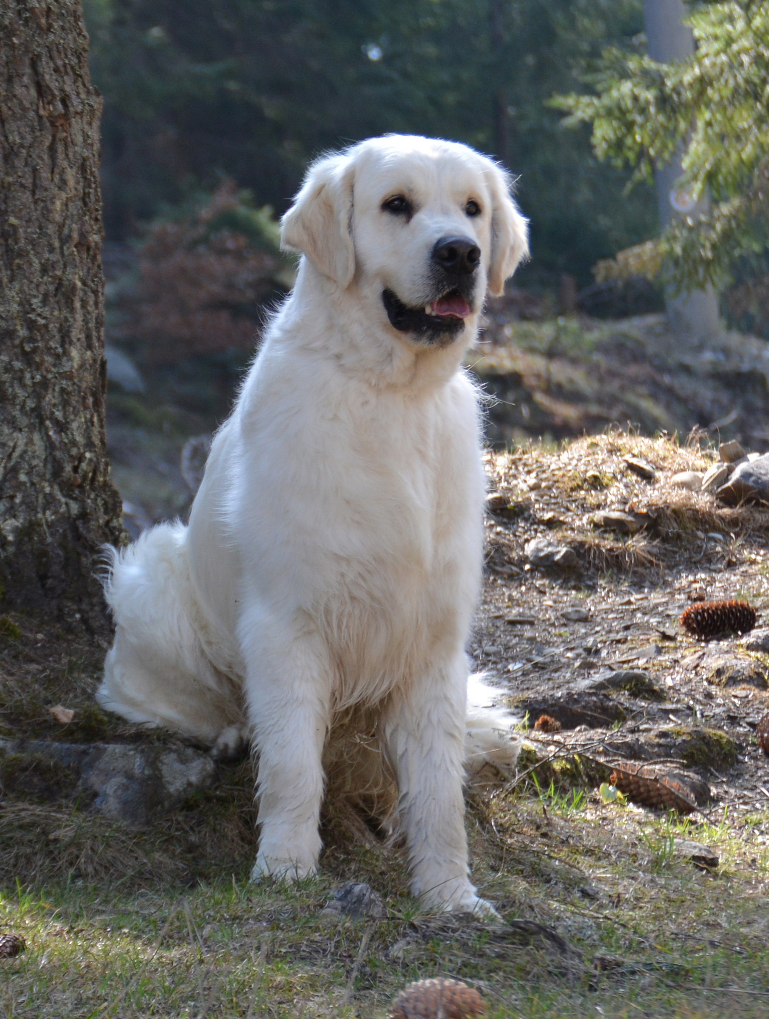 Simply Fabulous of Clear Passion : A Quiet Legacy