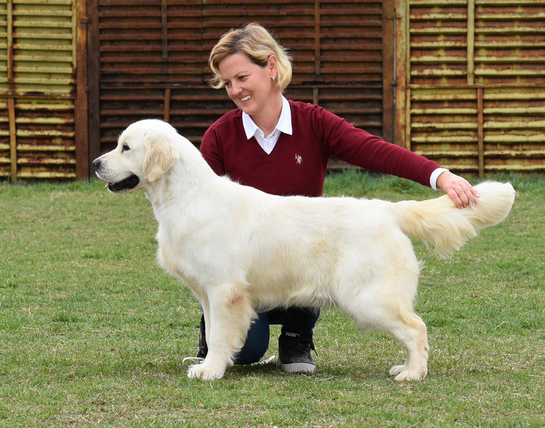 Lara – Lara of Clear Passion