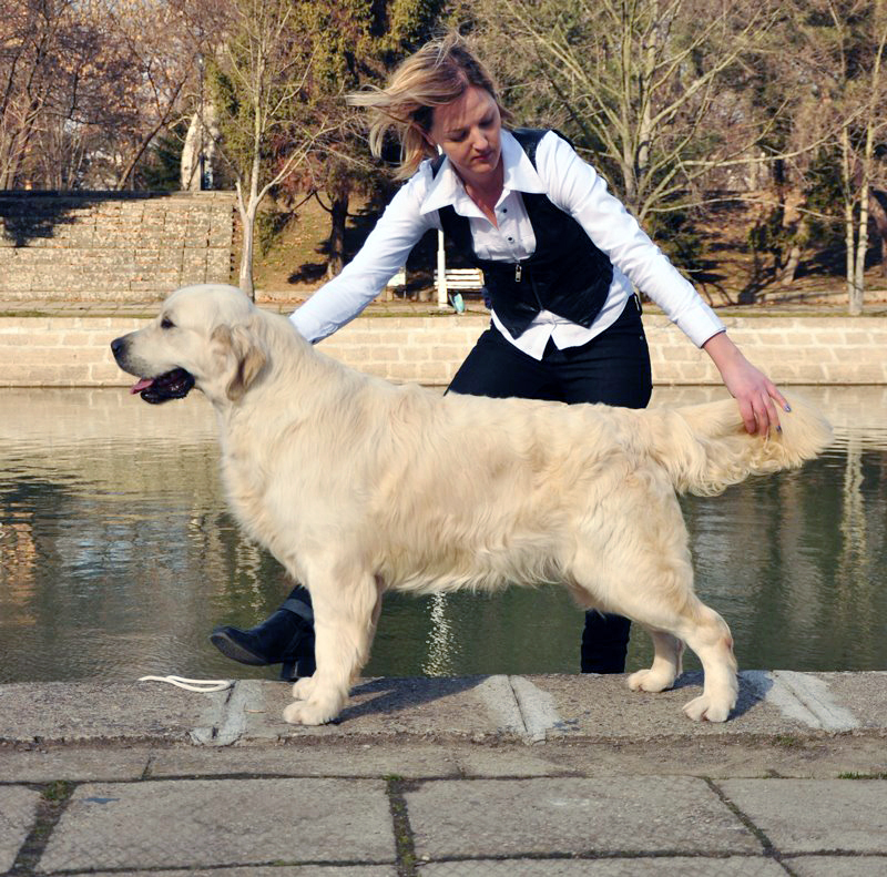 Picture Perfect of Clear Passion